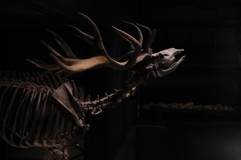 Naturalis Biodiversity Center